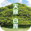 【天照白毘】霊能師による人生相談・電話相談