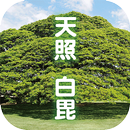 【天照白毘】霊能師による人生相談・電話相談-APK