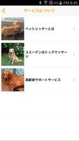 犬の散歩やペットシッターなら【湘南ペットシッターセンター】 screenshot 1