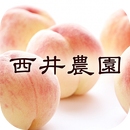 桃の本場岡山から通信販売にて白桃を産地直送する西井農園 APK