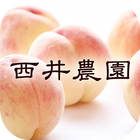 桃の本場岡山から通信販売にて白桃を産地直送する西井農園 icône