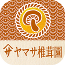 山梨産直お取り寄せ！ヤマサ椎茸園自慢の美味しい生しいたけ通販 APK