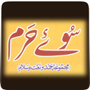 Hamd-o-Naat Collection In Urdu-APK