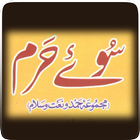 Hamd-o-Naat Collection icono