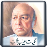 Icona Kulyaat-e-Habib Jalib