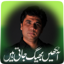 Urdu Poetry By Wasi Shah APK