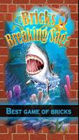 King Bricks Breaking Saga bài đăng