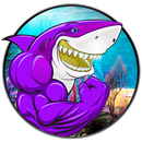 Wild Shark Angry Attack-APK