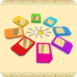 SIM Enquiry Numbers USSD Codes