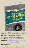 Native American Healing Affiche