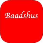 Baadshus 图标