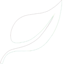 دليل السكر الطبيعي APK