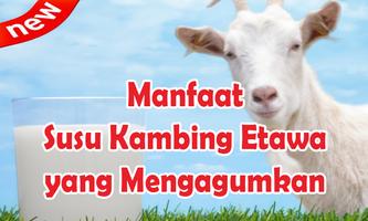 Manfaat Susu Kambing Etawa capture d'écran 1