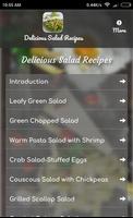 Delicious Salad Recipes Guide پوسٹر