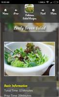 Delicious Salad Recipes Guide capture d'écran 2