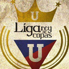 Liga Rey de Copas icon