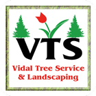 Vidal Tree Service icône