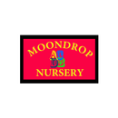 APK Moondrop Nursery School