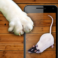 Mouse for cat toy