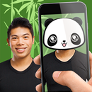 Panda face on photo APK