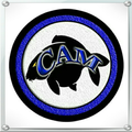 CAM