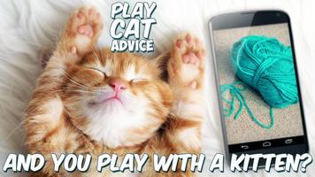 Play Cat Advice Poster