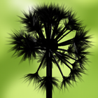 Dandelion Blow simgesi