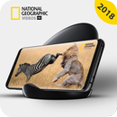National Geographic Channel Documentaries:Nat Geo APK