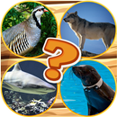 Quiz Pictures Guess The Animal APK