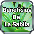 Beneficios De La Sabila icon
