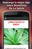 Beneficios De La Sabila screenshot 1