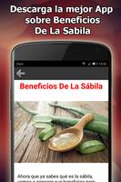 Beneficios De La Sabila screenshot 2