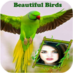 Beautiful Birds Photo Frames New