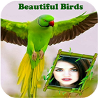 Beautiful Birds Photo Frames icône