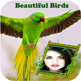 Beautiful Birds Photo Frames icon