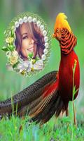 Beautiful Birds Photo Frames تصوير الشاشة 2