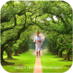 Green Tree Photo Frames