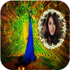 Peacock Photo Frames آئیکن