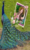 Peacock Photo Frames स्क्रीनशॉट 3