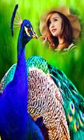 Peacock Photo Frames اسکرین شاٹ 1