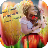 ”Tulip Photo Frames New