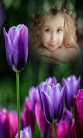 Tulip Photo Frames New تصوير الشاشة 2