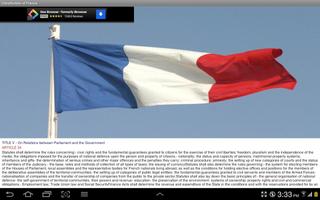 Constitution of France スクリーンショット 2