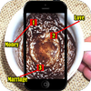 coffee cup reading online coffee cup reading online