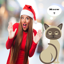 Cat Translator Simulator APK