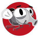 Insects real killer bug APK