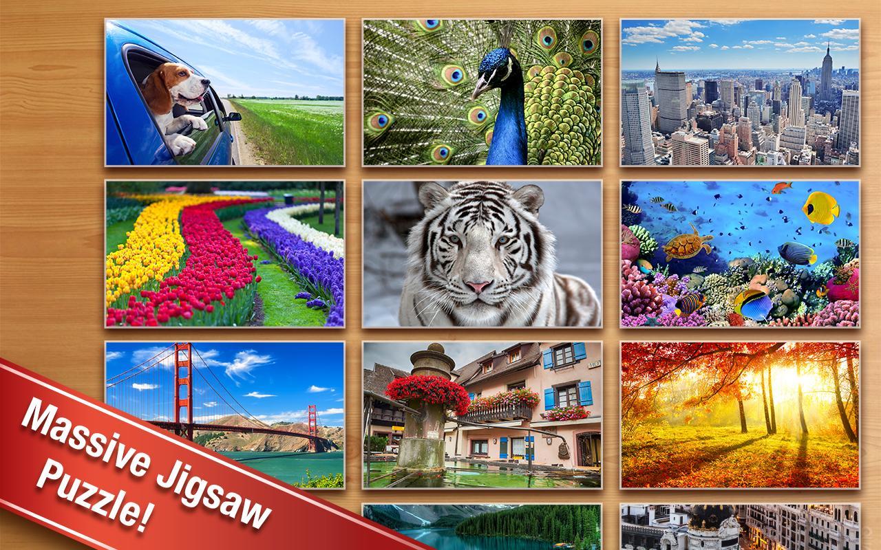 The jigsaw puzzles free download pdf