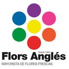 ikon Flors Anglès Mayorista flores