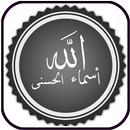 أسماء الله الحسنى  مع الشرح APK