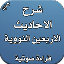 الاحاديث الاربعين النووية-APK